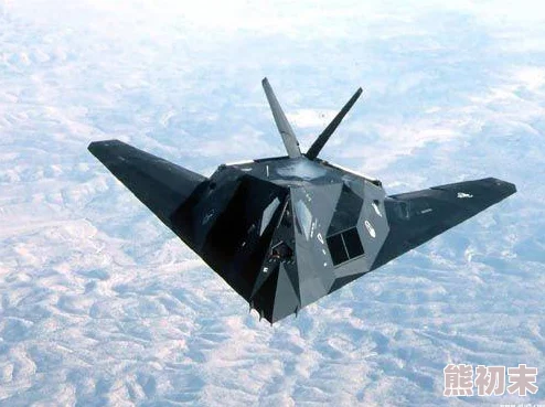 战机风暴手游深度剖析：F-117隐形战斗机全方位解析与实战攻略指南