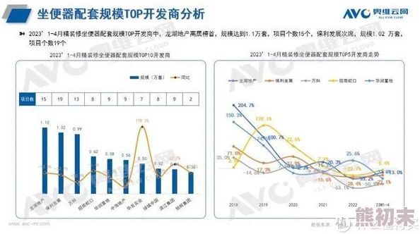 探索国产TS技术的创新发展与应用前景：引领未来科技潮流