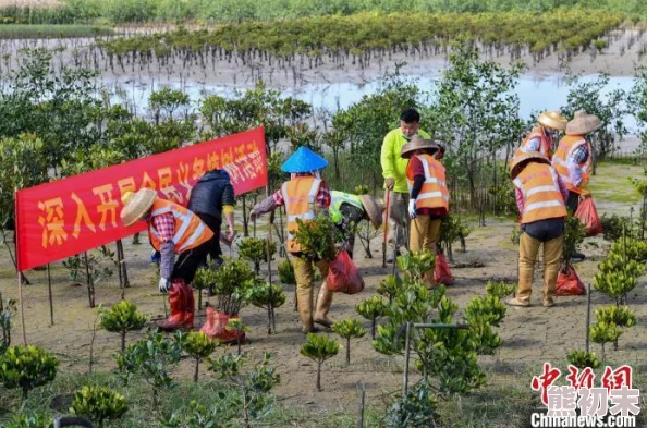 孟狐狸：新研究揭示其生态习性与栖息地保护的重要性，助力生物多样性维护和环境可持续发展