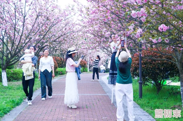 春暖花开，激情四溢：在开心春色中畅享生活的美好与乐趣