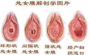 探索女性生理现象：揭秘18岁女性体内水分的秘密与健康影响