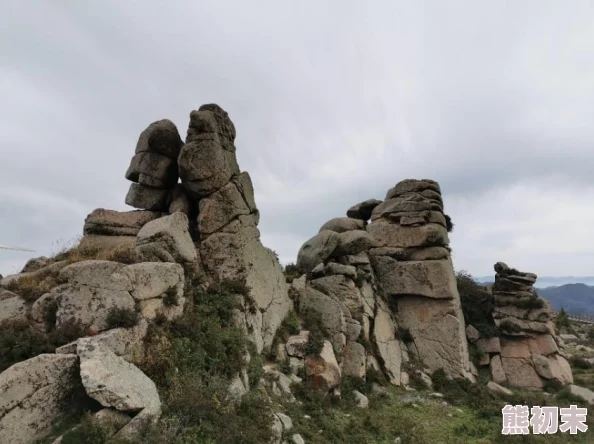 巅峰战舰穿梭冰川海峡：卫星地图导航，谨慎前行避免撞上冰山挑战