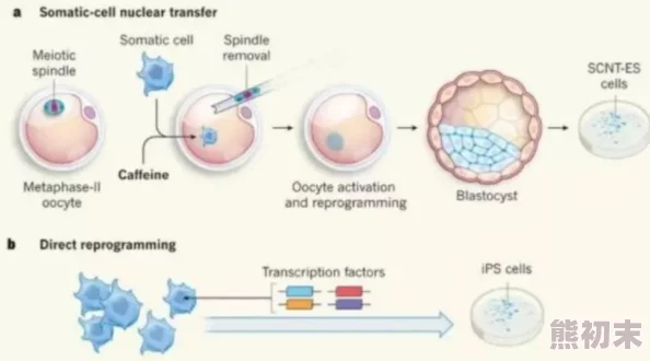 宝贝打开生殖腔habo：最新研究揭示其在生态系统中的重要性及对生物多样性的影响