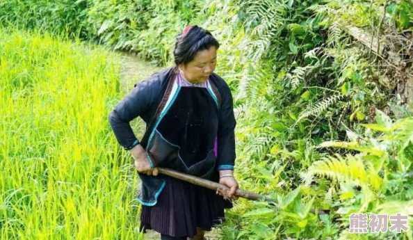 小草神被旅行者爆炒，背后隐藏的秘密与真相让人震惊，网友热议其影响力与未来发展方向