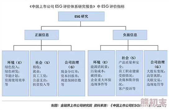 37大但人文任汾company责任与社会影响深度解析