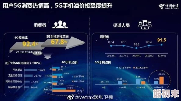 探索国产AA网站的多样化内容与用户体验，揭示其背后的文化现象