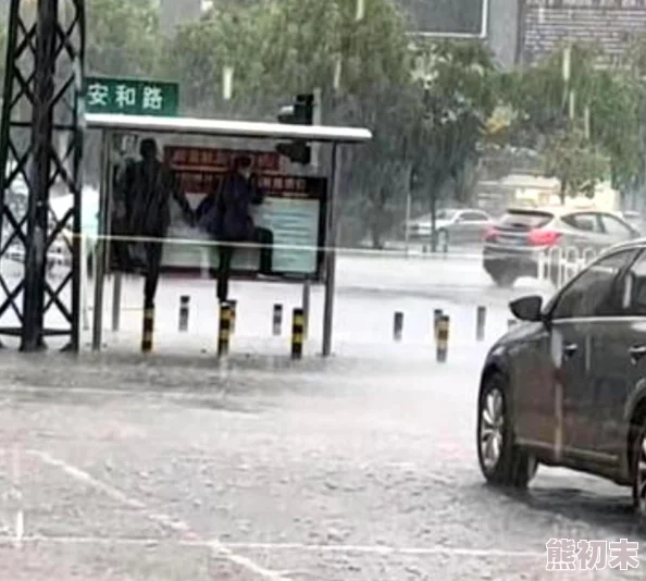 下雨天公交车站避雨1jk，突发大风刮倒公交站牌，众人纷纷寻求安全避雨场所！