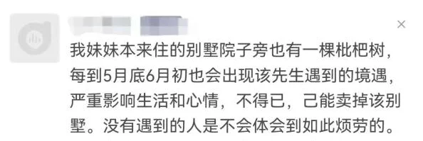 好色先生tv黄色版下载引发热议，网友们对其内容和安全性表示担忧，同时也有部分人对此表示好奇