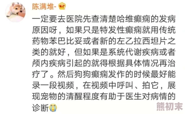 岳爱和我的性经历网友认为这篇文章真实而坦诚，展现了个人成长与情感探索的过程，引发了广泛讨论与共鸣