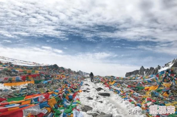 太久永久回家地址tai99.cc 保存永不迷路，这个网站真不错，方便又实用，值得推荐给大家！