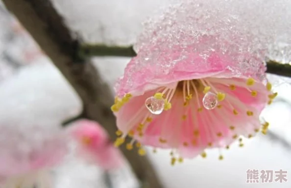 神秘的《黑神话：悟空》中识蕴位置的深度探索之旅