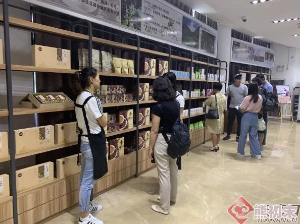 亚洲一线产区和二线产区：新兴市场崛起与传统优势的碰撞，推动区域经济发展新格局