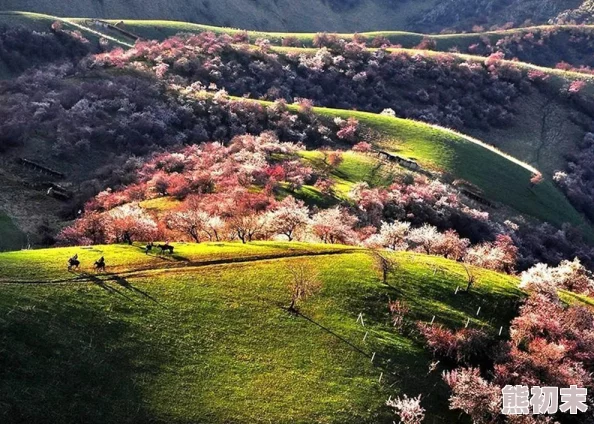 亚洲另类天堂网友认为这个地方充满了独特的文化和风景，吸引了许多寻求不同体验的旅行者，是一个值得探索的目的地