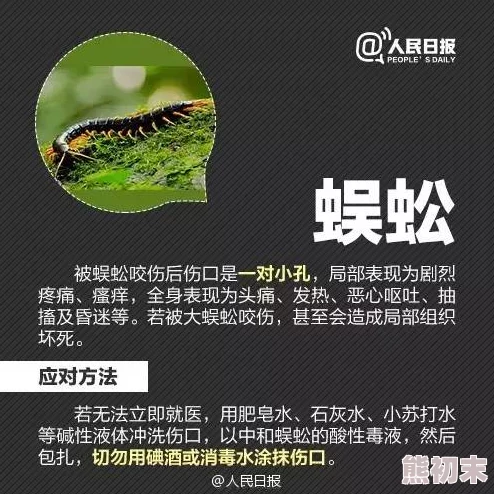 精彩绝伦的三角洲行动FSV全解析与高效攻略指南