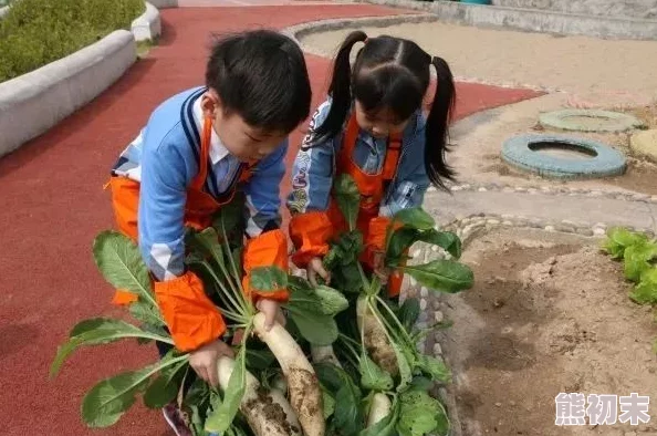 拔萝卜：这真是一项有趣的活动，既能锻炼身体又能享受收获的乐趣！