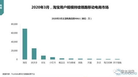 九幺旧版本：分析其在数字经济中的影响及用户体验的演变历程与未来发展展望