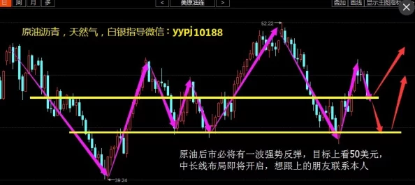 do i细节 文：深入分析其对现代生活的影响与未来发展趋势，探讨如何更好地应用于日常实践中