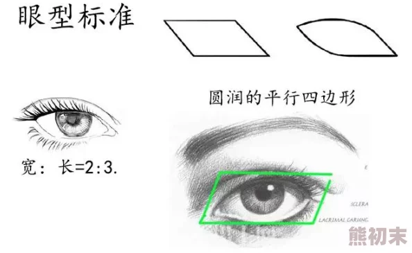 高效掌握三角洲行动眼距调整技巧：精准解读与优化攻略