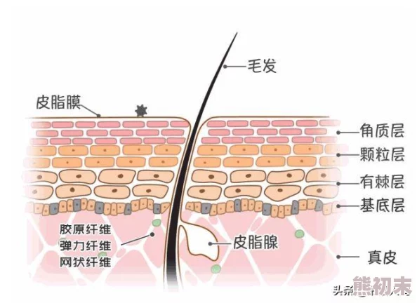 超全精选！逆袭养成记最新可用兑换码与长期有效礼包码合集