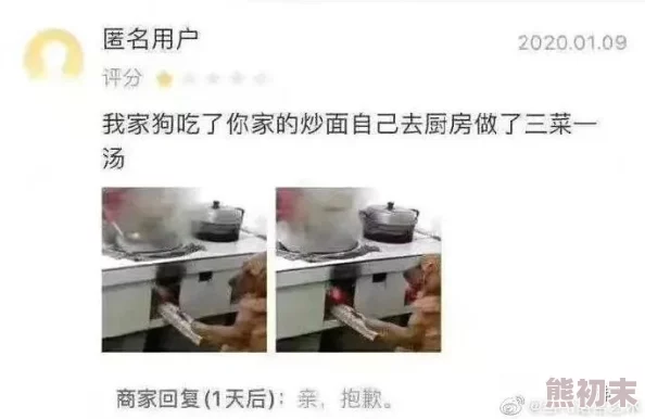 国产97式网友看法：许多人认为这款步枪在性能和可靠性上都表现出色，适合现代战场的需求，但也有声音质疑其技术是否足够先进