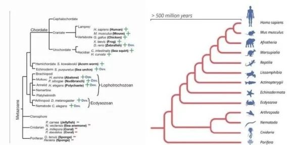 超全精选！拯救细胞兑换码2024 最新豪华礼包码大全汇总