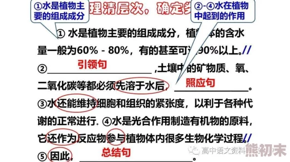 17c.17 这篇文章真是让我大开眼界，内容丰富且引人深思，非常值得一读！