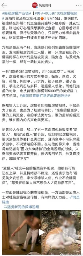 国产老鸭窝毛片一区二区，内容丰富多样，让人耳目一新，值得一看！