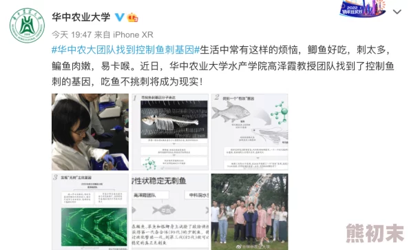 亚洲处破女网站网友认为该网站内容低俗且不健康，呼吁加强对网络色情内容的监管与清理，以保护青少年