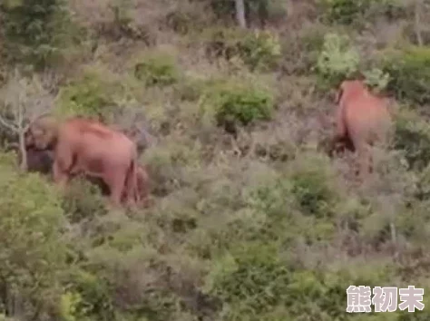 男人激烈吮乳吃奶动态图视频 这是一部让人惊艳的作品，画面生动细腻，情感真挚，值得每位观众一看。