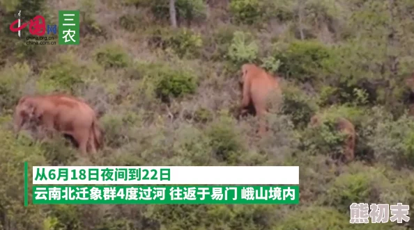 男人激烈吮乳吃奶动态图视频 这是一部让人惊艳的作品，画面生动细腻，情感真挚，值得每位观众一看。