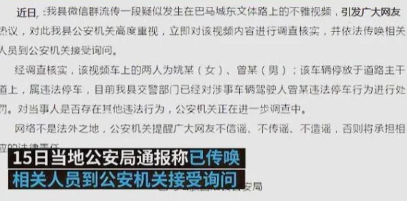 日本黄色视频网站涉嫌违规被调查新信息警方已展开全面调查并拘捕数名相关人员