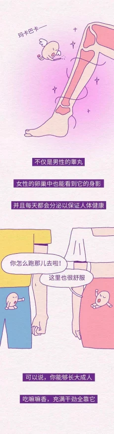 无遮挡动漫黄漫网站在线观看健康生活方式指南