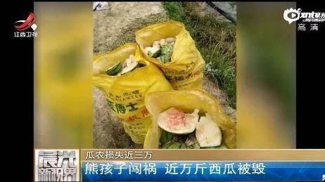 日韩免费视频一区网友推荐这个平台提供丰富多样的日韩视频资源画质清晰更新及时非常适合喜欢日韩文化的朋友们观看