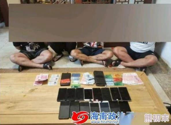 网站黄色片警方破获特大网络传播淫秽物品案抓获犯罪嫌疑人10名