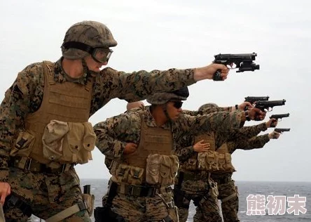 三角洲行动支援兵武器精选推荐：网友热议最佳装备选择指南