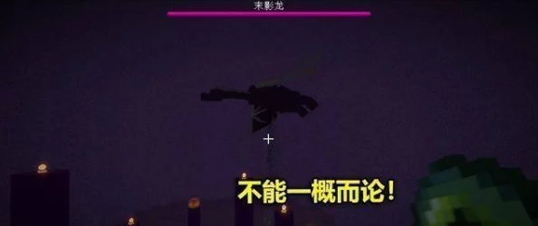 《我的世界中国版》末影龙与凋零高效打法全攻略，网友亲测详解实用技巧