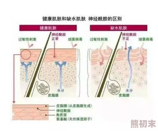 滴蜡电击调教乳尖新研究显示这种行为可能导致皮肤损伤和神经敏感性增加