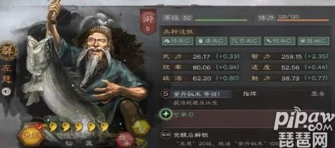 网友热议：三国志战略版董卓T0阵容揭秘，董卓孟获左慈顶配战法搭配详解