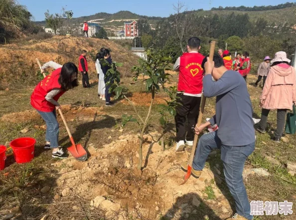 三男一女在公园玩高难度动作引围观路人纷纷拍照点赞展现青春活力与团队默契