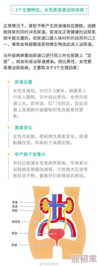 失禁揉搓花蒂尿液让我们关注身体健康与心理舒适，积极面对生活中的挑战，共同创造美好未来