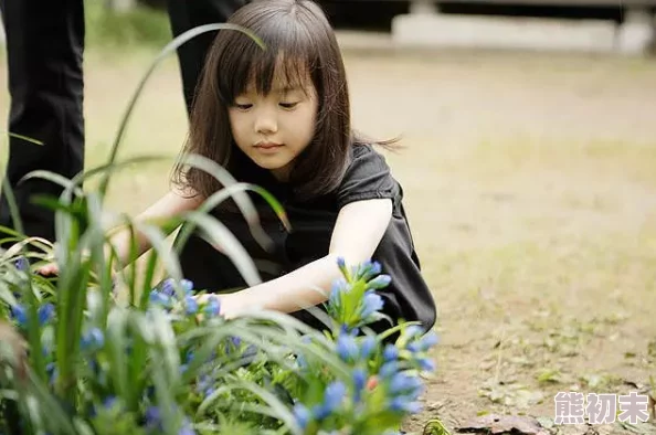 日韩高清特级特黄毛片激发创作灵感，提升审美情趣，丰富文化生活