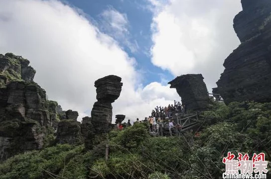 日本黄一片美丽的自然风光和丰富的文化遗产吸引了全球游客前来观光