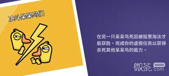 网友热议：鹅鸭杀决斗中，呆呆鸟能否识破另一只同类？真相揭秘！