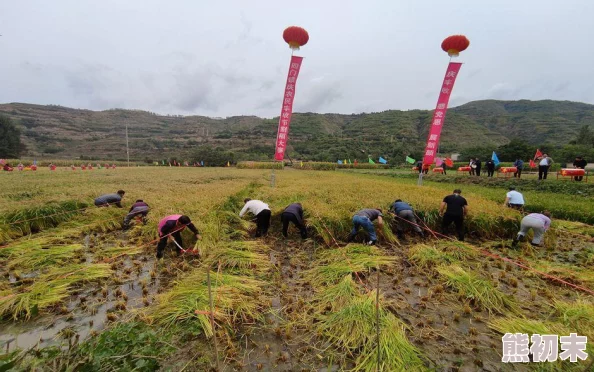 金秋赛场燃激情，《街头足球》飒爽女前锋惊艳极射，网友盛赞破门瞬间！