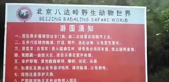 网友热议：灵魂石幸存者中老虎攻速提升全攻略，教你如何快速加速！