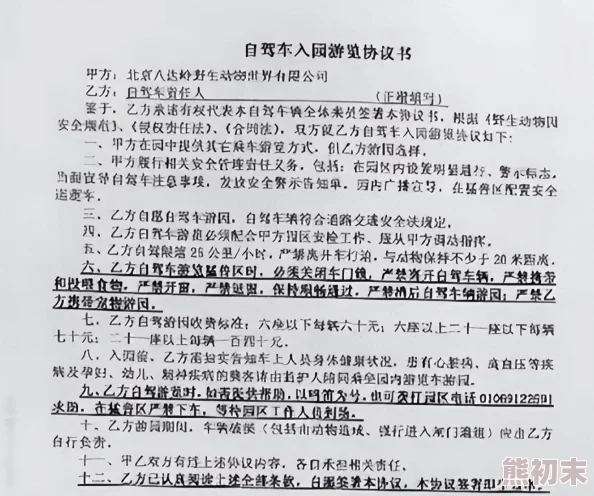 网友热议：灵魂石幸存者中老虎攻速提升全攻略，教你如何快速加速！