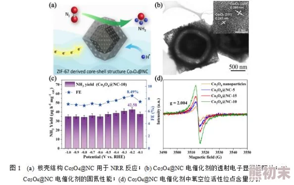 就是干就是操中国科学家成功合成新型高效催化剂材料