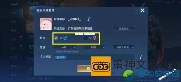 王者荣耀性别设置攻略：详细步骤教你轻松更改游戏内性别，网友亲测有效！