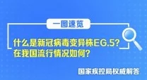 精品视频一区二区观看我们的队伍向太阳2024