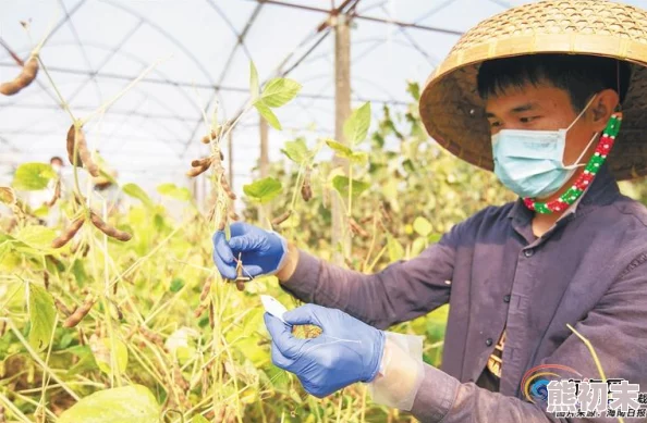 三亚精品高清影院加盟条件有哪些？白月光攻略对象